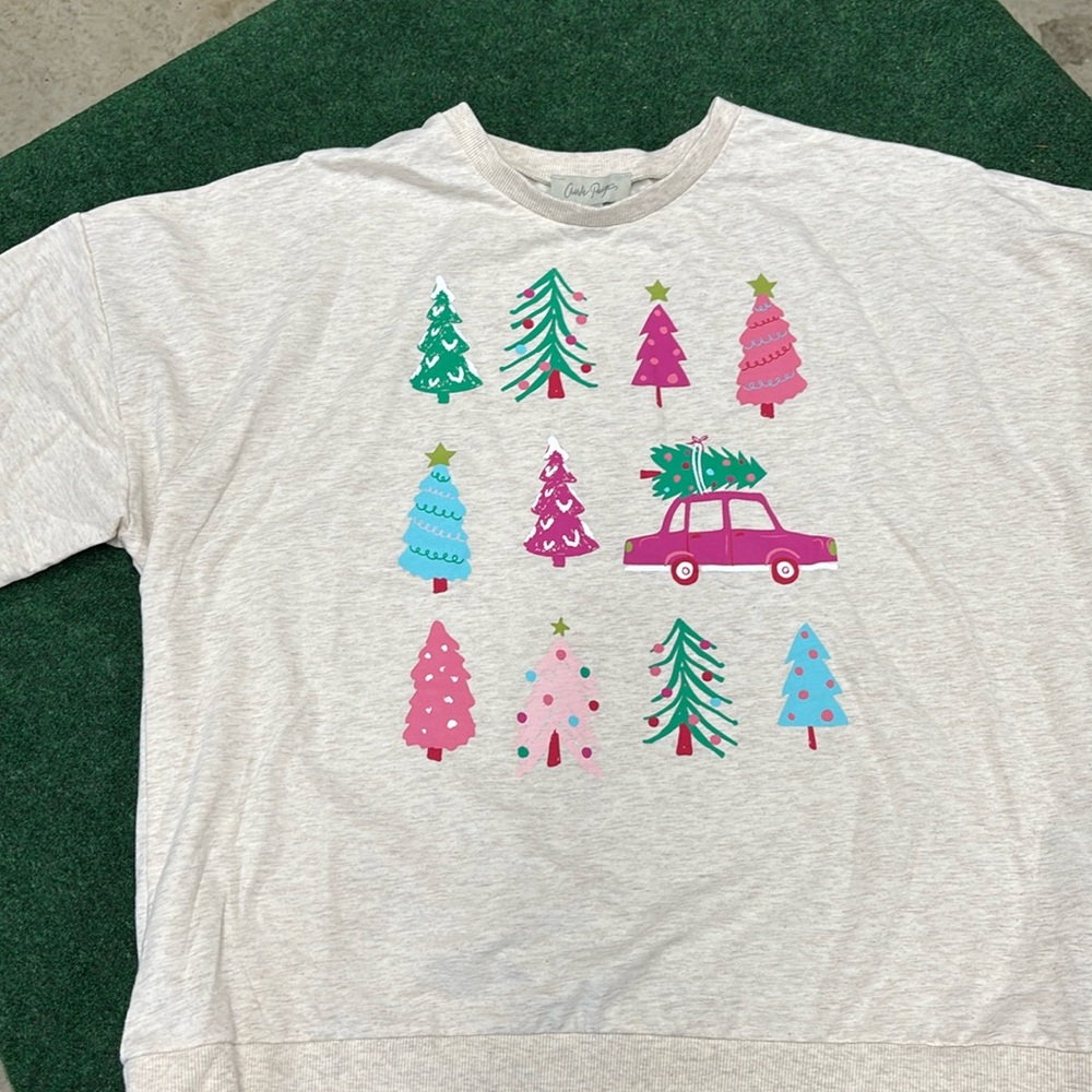 Christmas sweatshirt, never worn L/XL